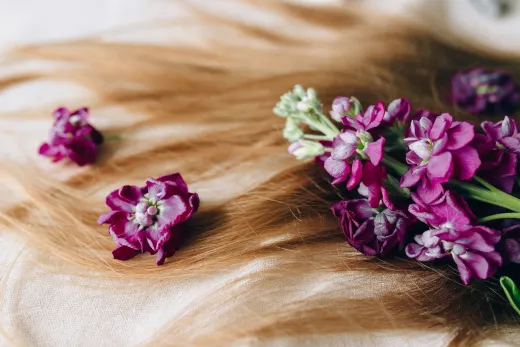 Vivid purple flowers beautifully arranged on a - henna hair colour