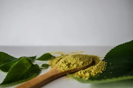 Image showcasing a close up of herbal powder o - henna paste